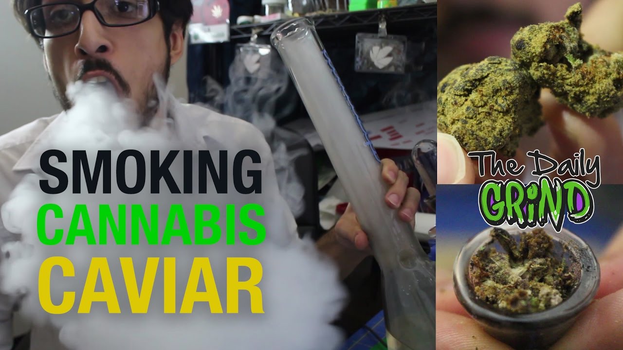 Smoking MOONROCKS aka Cannabis Caviar *ENDLESS SMOKE!* - Daily Grind