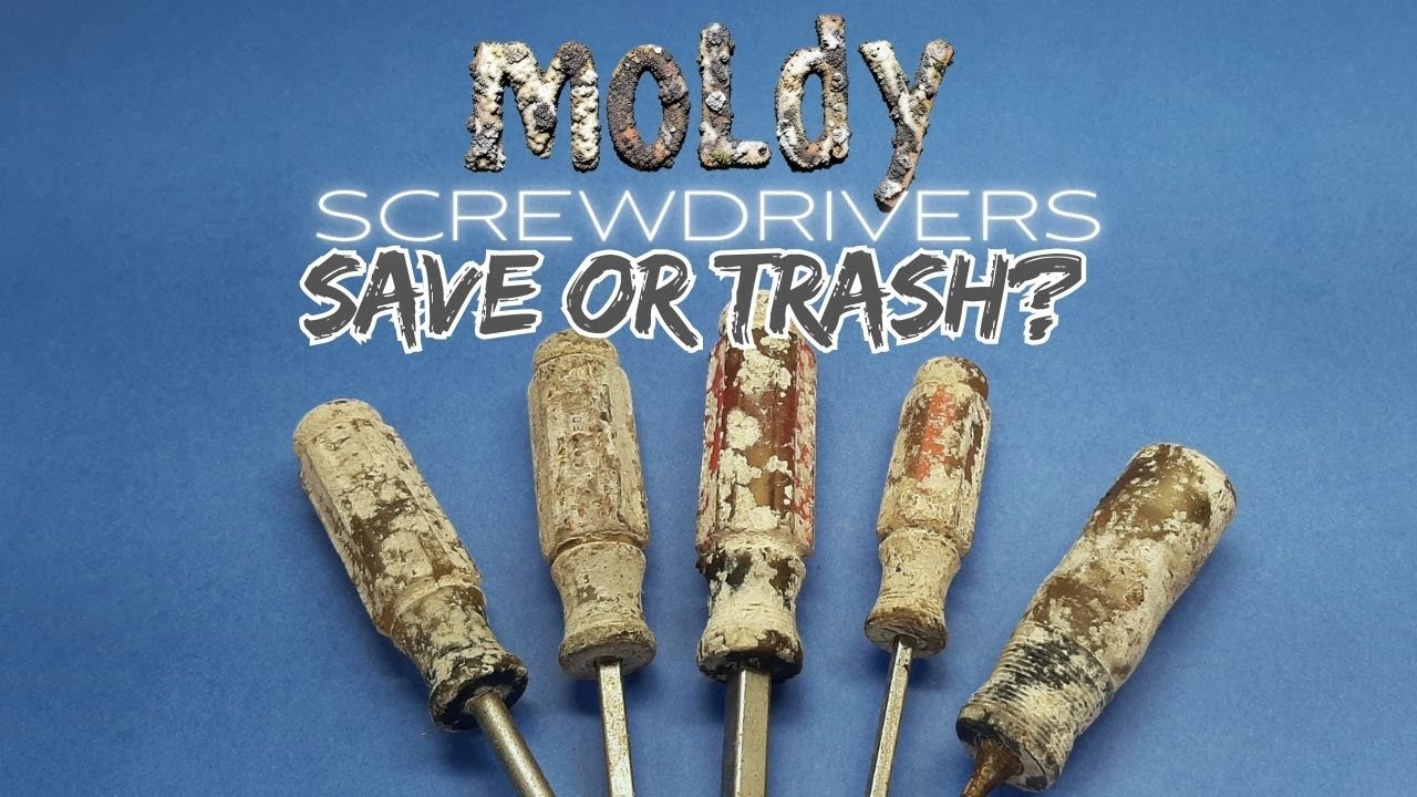 Can I Save These Rotting Craftsman Screwdrivers? Cleaning Stinky Acetate Handles!
