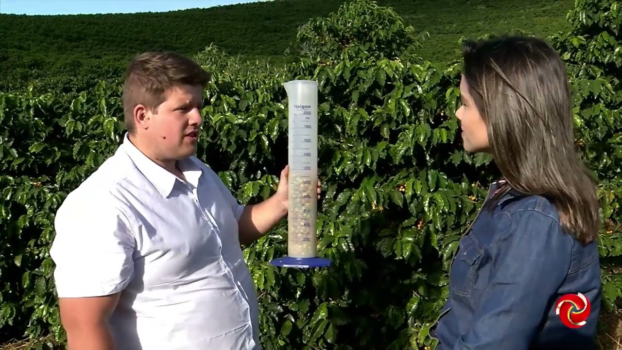 O segredo da produção de cafés especiais