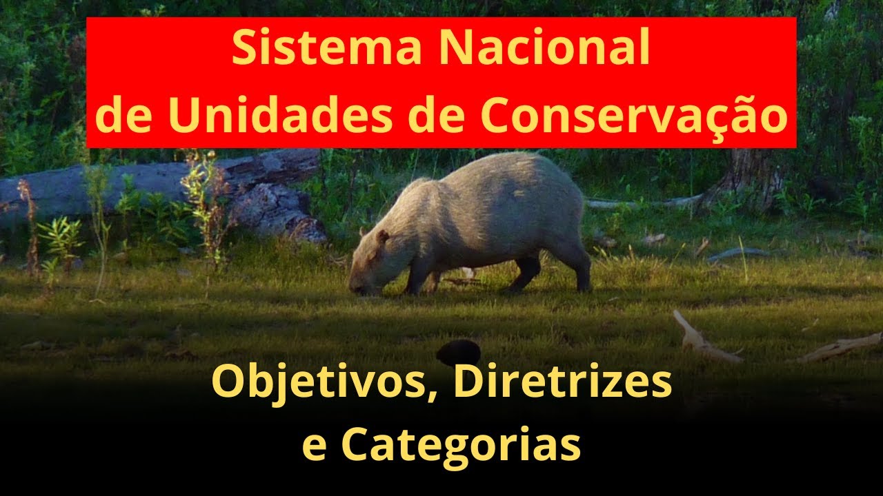 SNUC - Conceitos, Diretrizes e Categorias de Unidades de Conservação