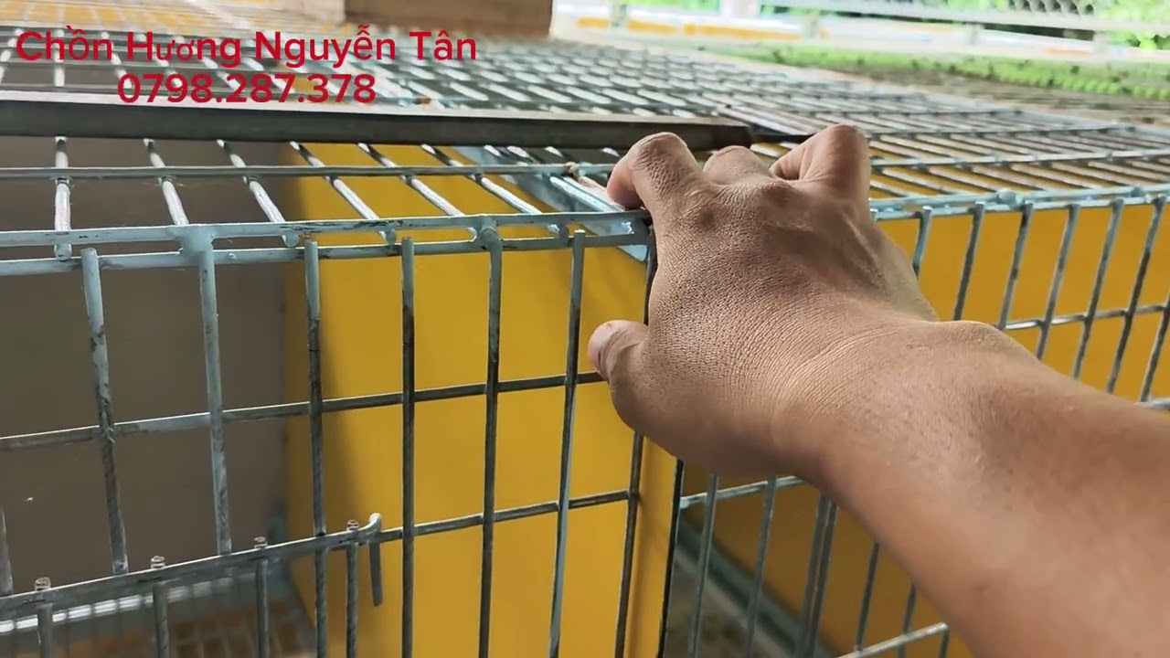 Giới thiệu chi tiết mẫu chuồng chồn hương giá rẻ, bền bỉ cho anh em mới nuôi và nuôi thương phẩm
