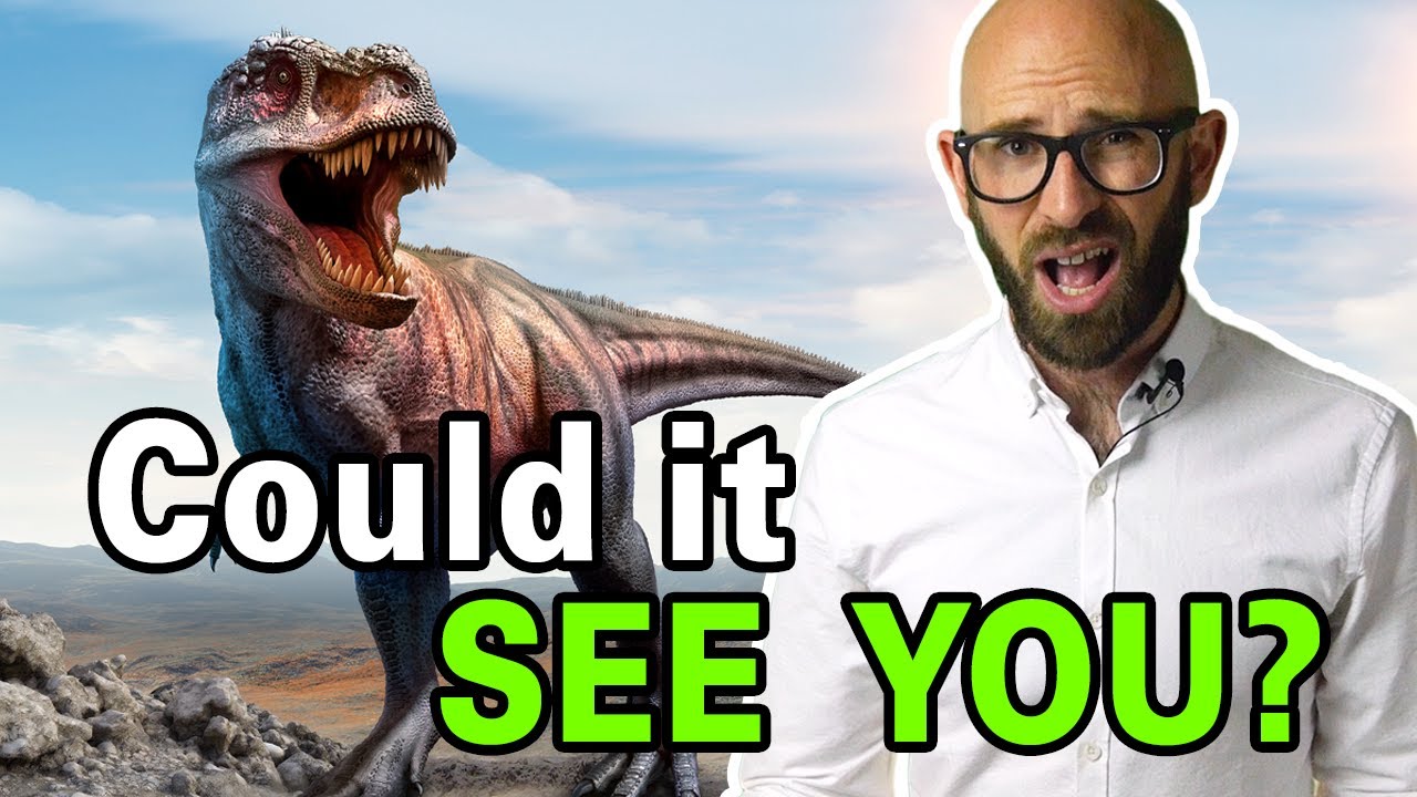 Is It True the T-Rex Couldn't See You If You Didn't Move?