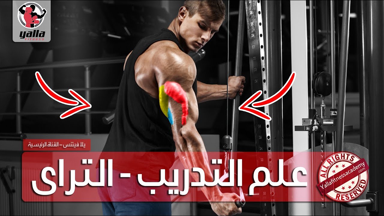 أسرار علم التدريب | التراي (ما لا يخبرك به المدربون)