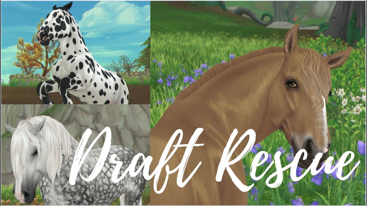 DRAFT RESCUE INTRODUCTION! (Meet the horses, facility tour, and MORE!) *SSO RRP*
