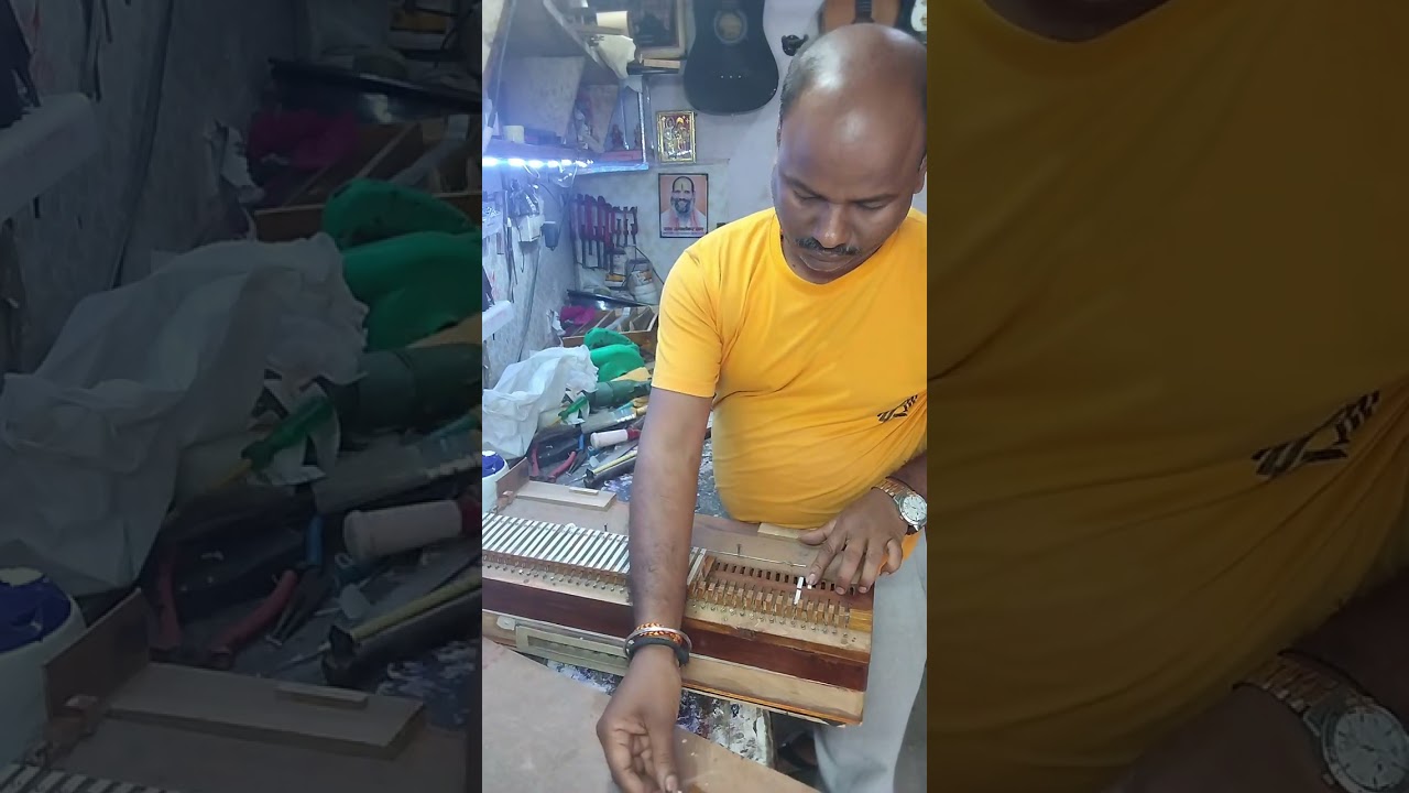 Scelchenjar ki halat jayada kharab hai#harmonium #music #