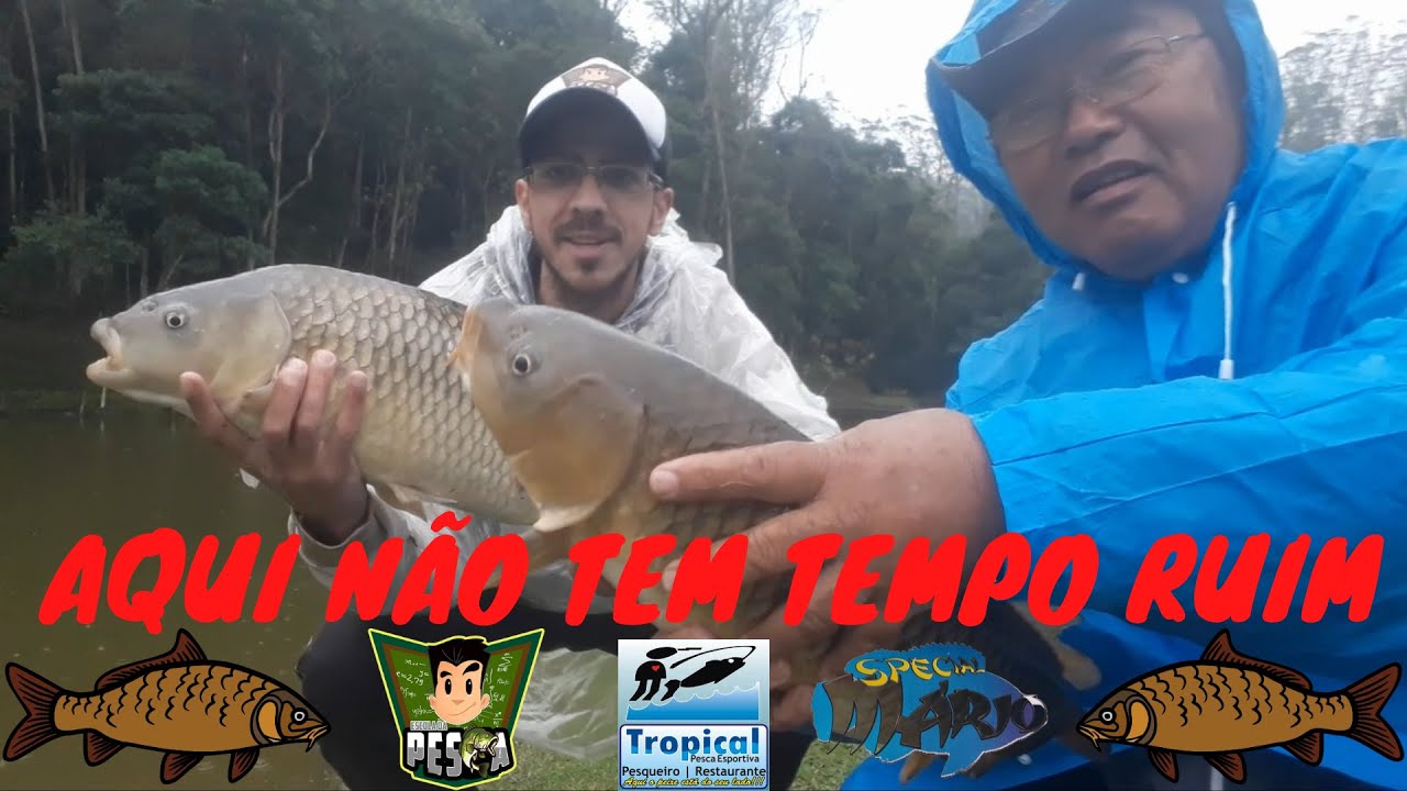 #153 - CARP DAY NO PESQUEIRO TROPICAL COM MASSA DE MORANGO