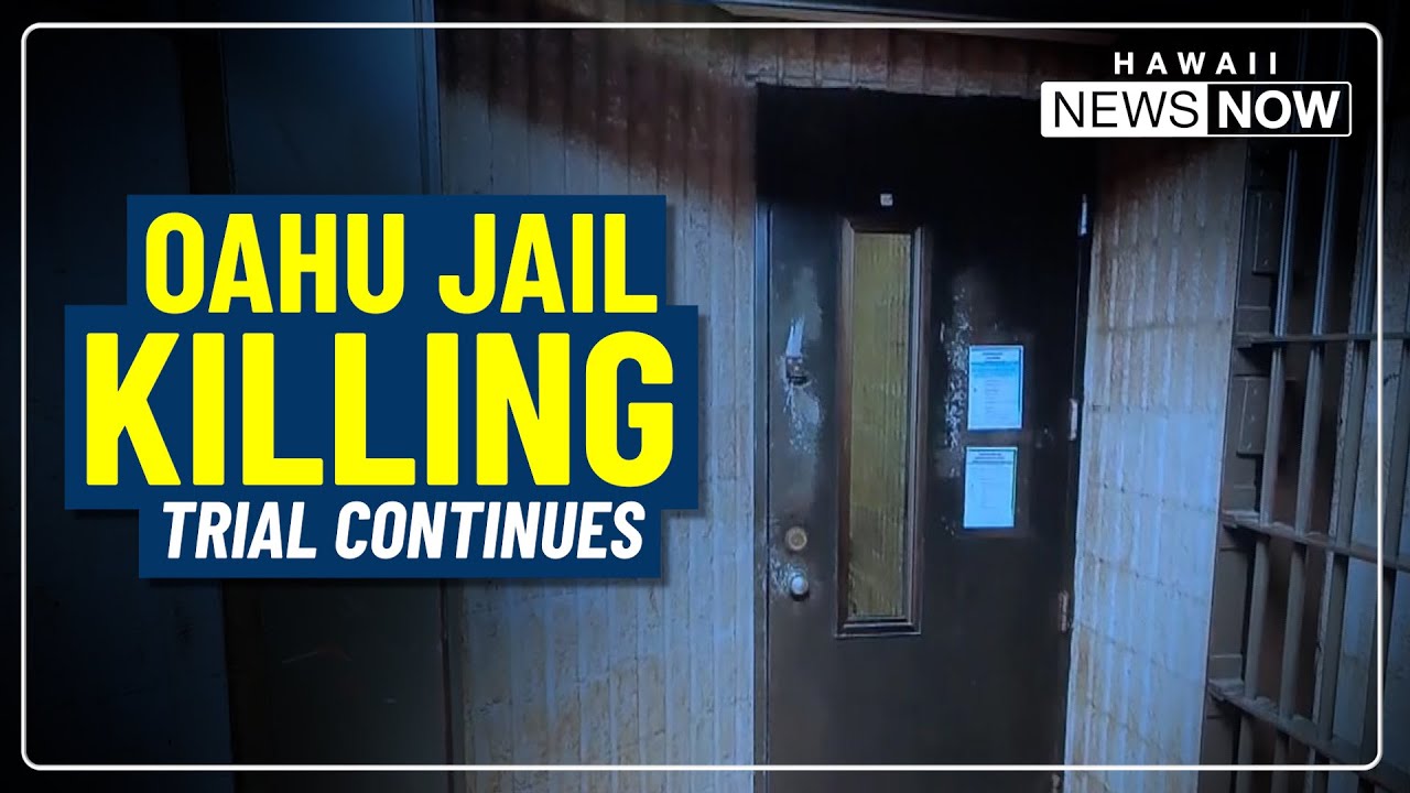 Witness fear dominates jail killing trial as testimony continues