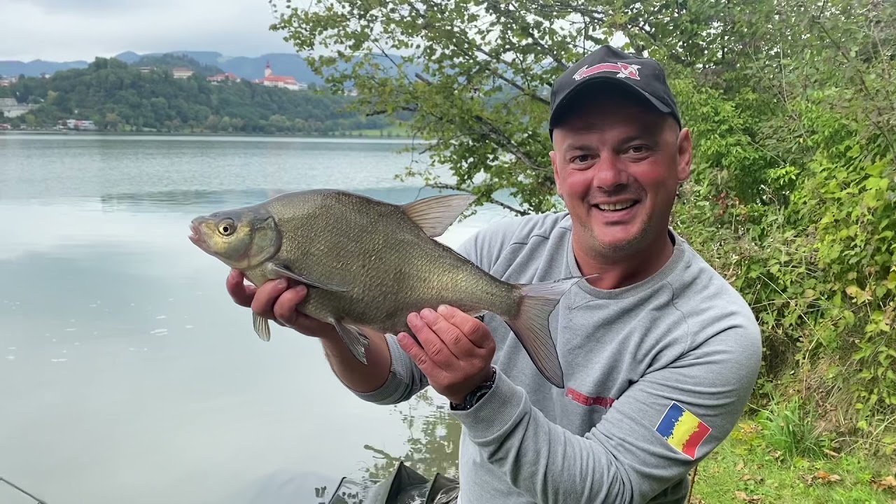 Pescuit la platica cu feeder pe Drava