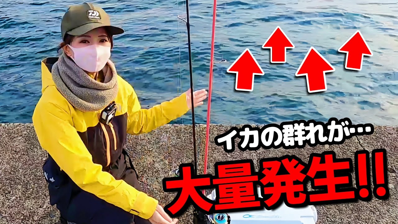 【エギング＆浮き釣り】ヤリイカ開幕!! 短時間で数を釣る方法３選♪