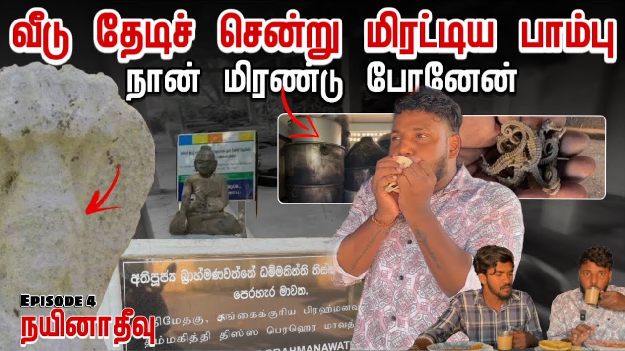 வீடு சென்று மிரட்டிய பாம்பு | நான் மிரண்டு போனேன் | Nainativu Ep-4 | Pavaneesan