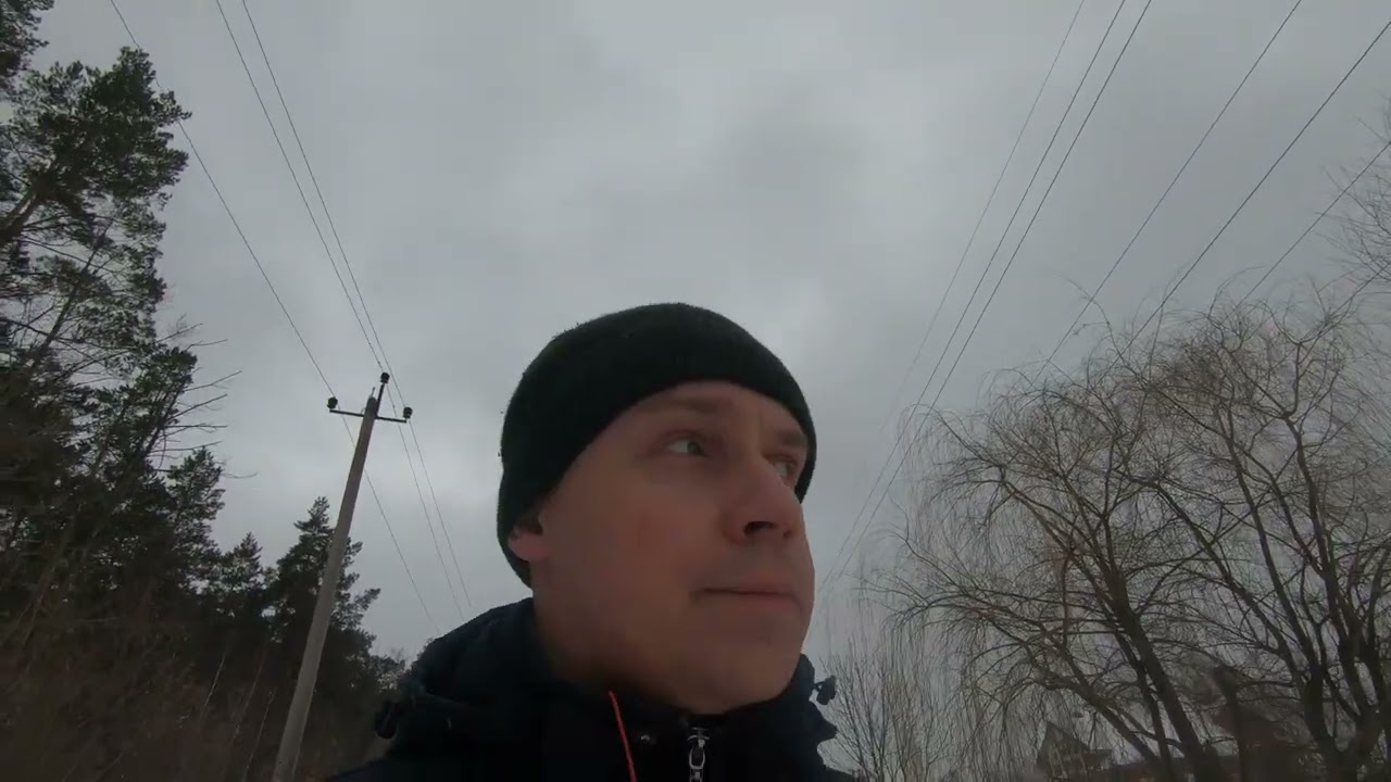 Пенза.Сосновый бор Измайловский.