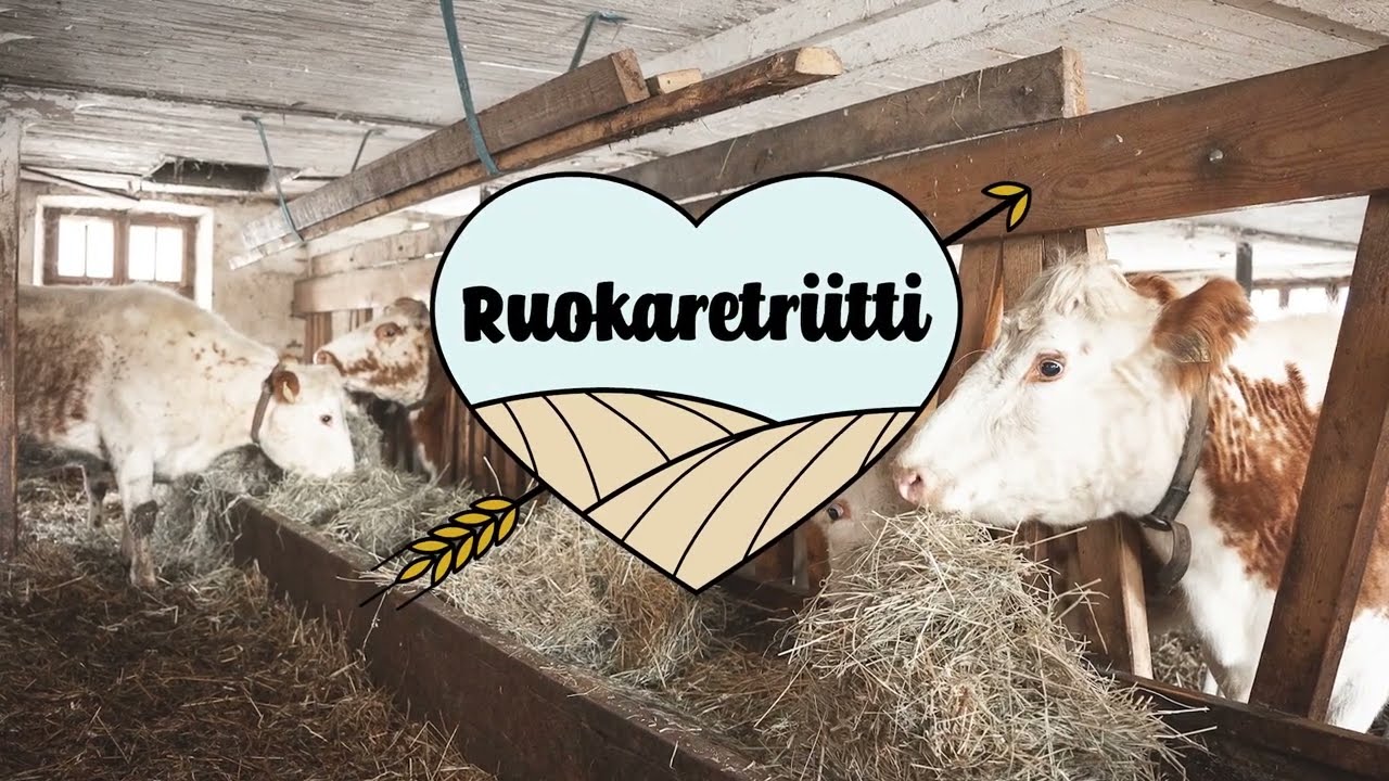 Majvikin ruokaretriitti