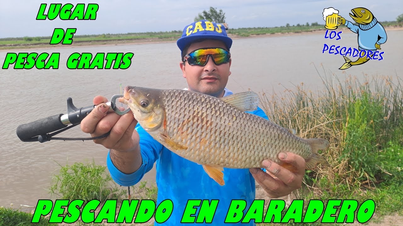PESCA EN BARADERO-LUGAR GRATIS-BOGA-CARPA SABALO-BAGRE #LOSPESCADORES