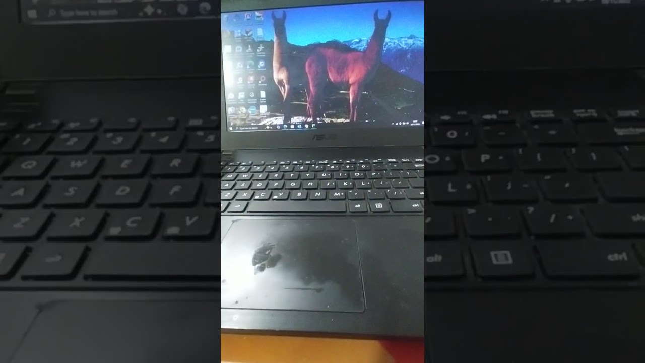 test ssd m.sata RX7