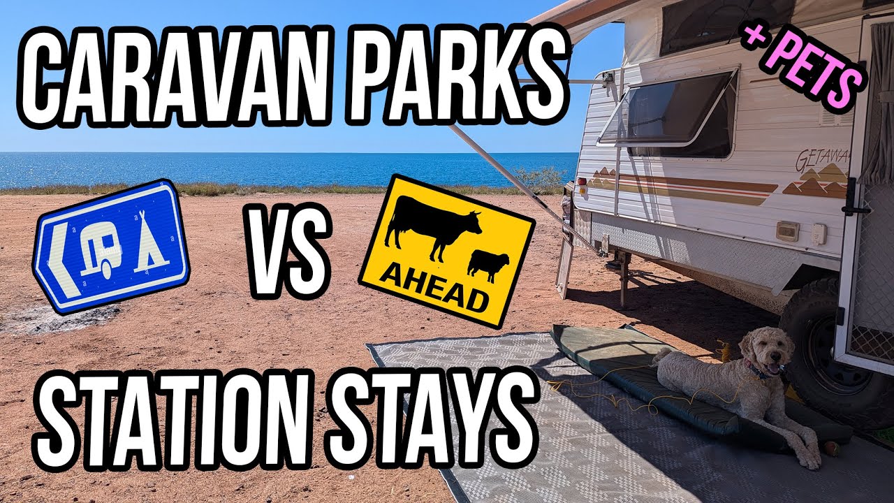 Pros & Cons Caravan Parks vs Station Stays With Pets | Dog-Friendly Caravanning, Camping & Travels