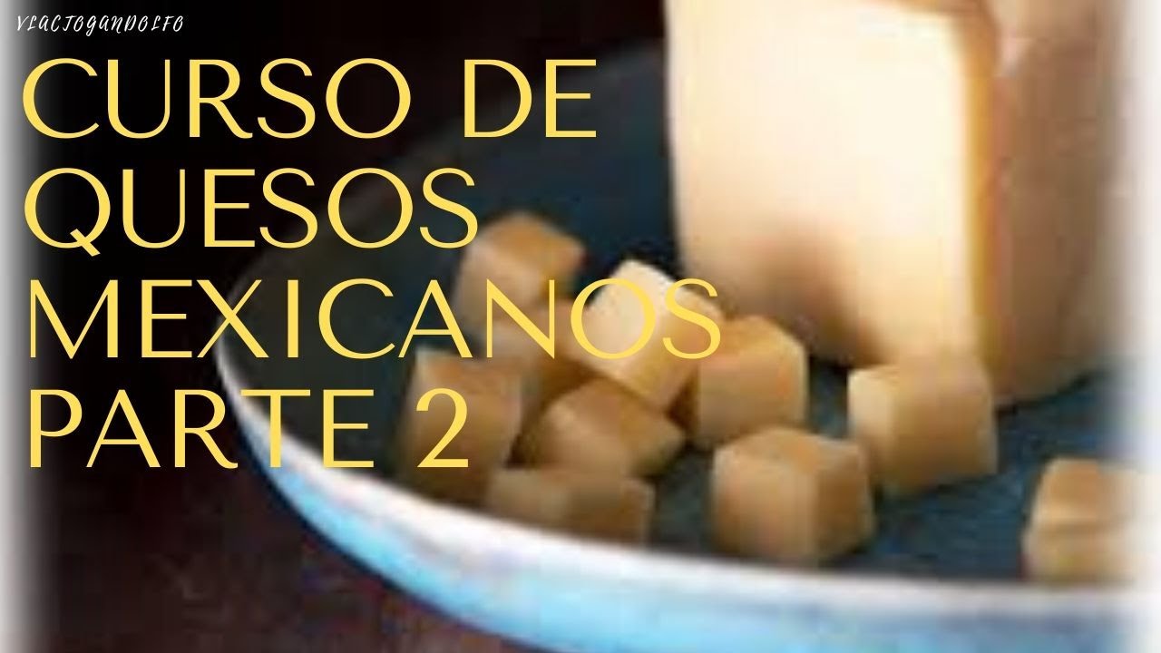 Taller de quesos 2