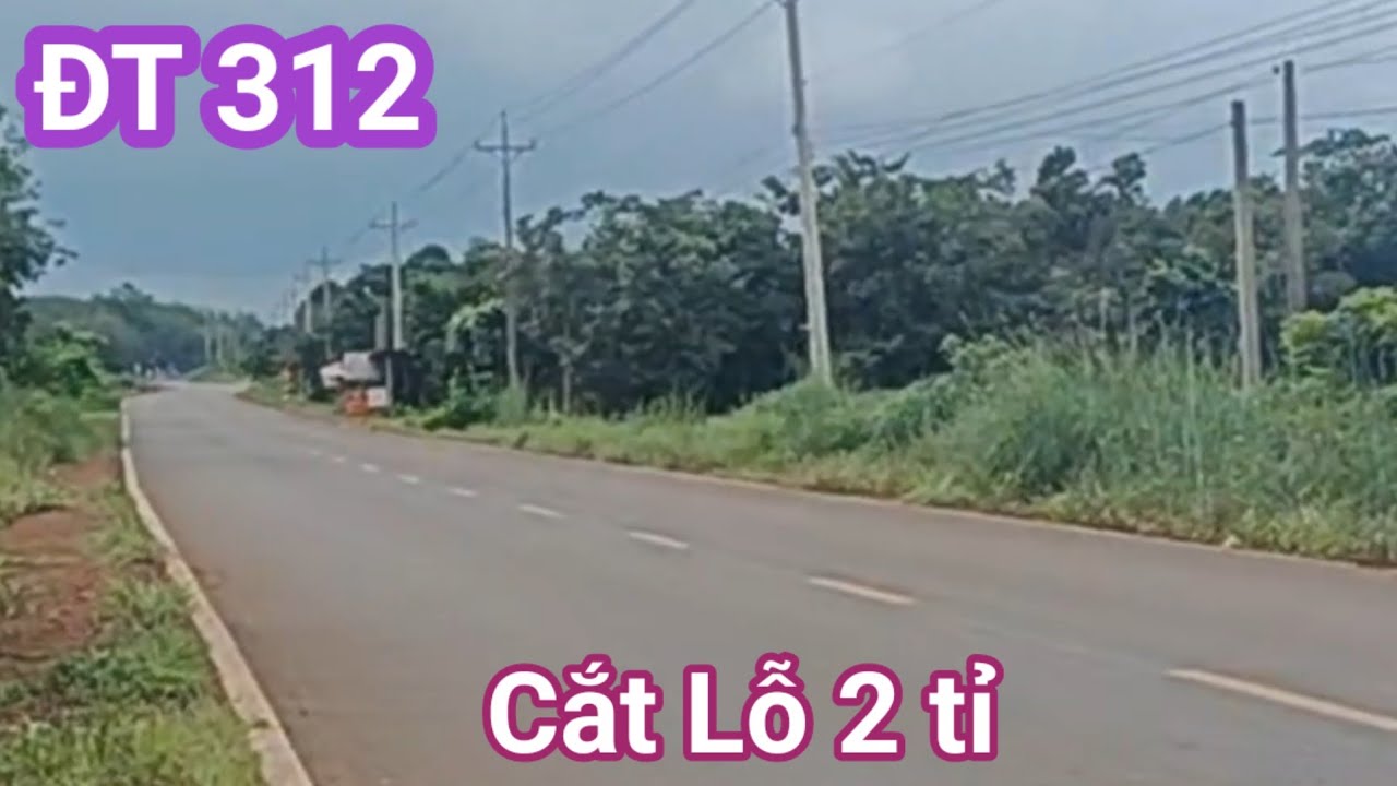 Đường DT312 diện t&iacute;ch 1,6ha,c&oacute; 30m đường.Đoạn đường thẳng.B&aacute;n Lỗ 2 tỉ.Nghĩa Trung.B&ugrave; Đăng.BP.