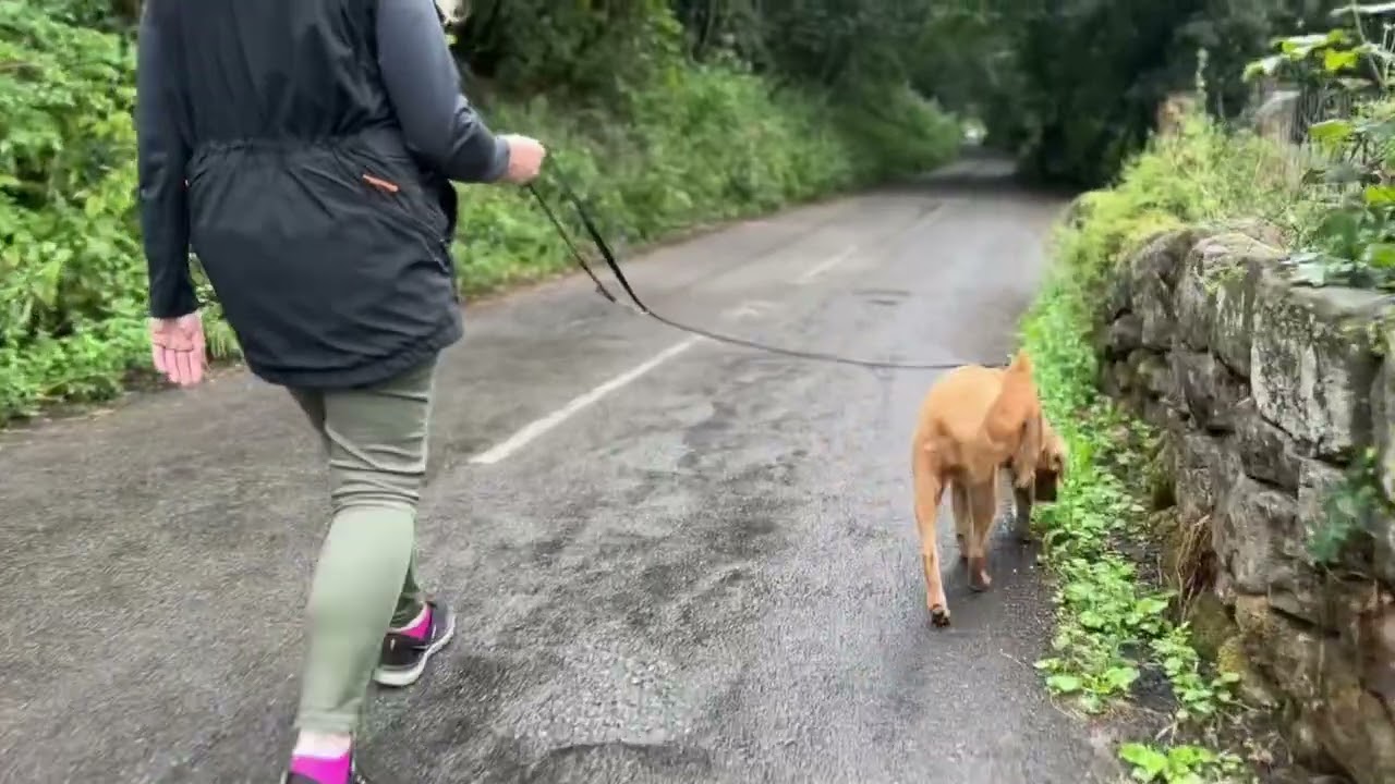 Rules for Loose Lead