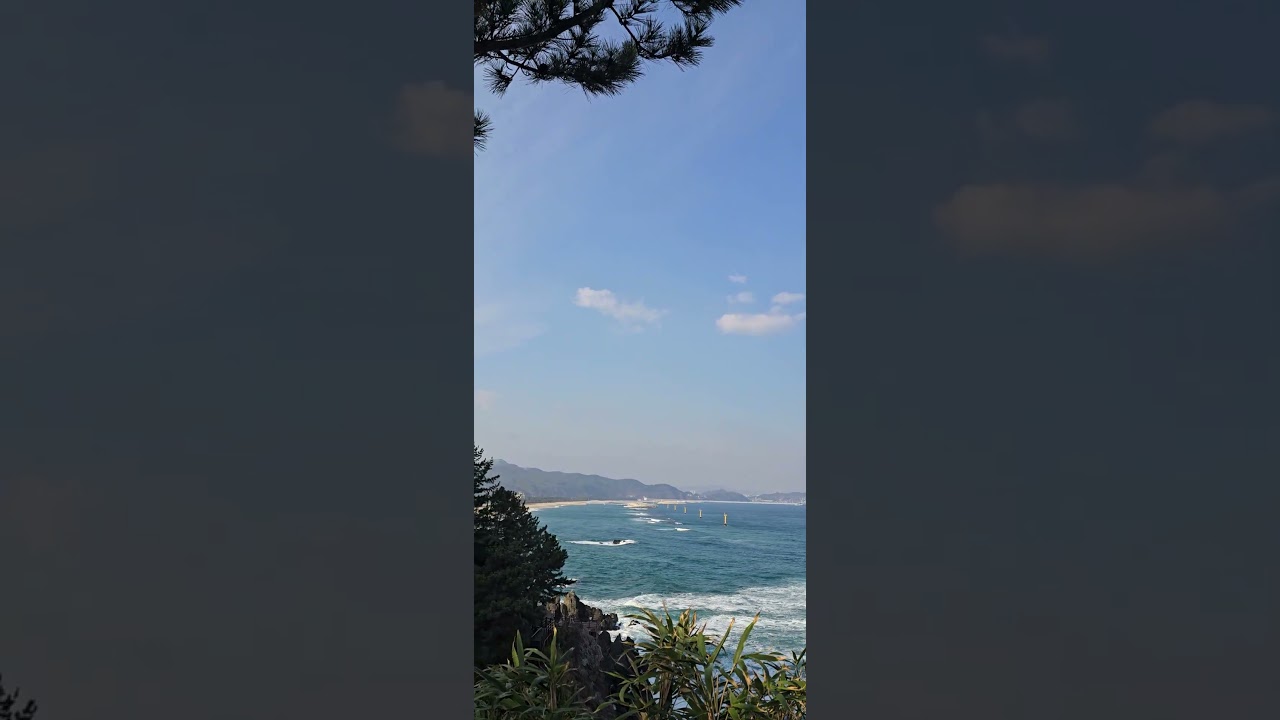 임영웅 노래는 나의 인생