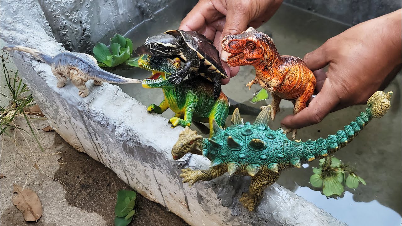 Catch turtle  : dinosaurs 🦖 toys, ball Color , eel, koi, Guppy, turtle and other fish. 🐠