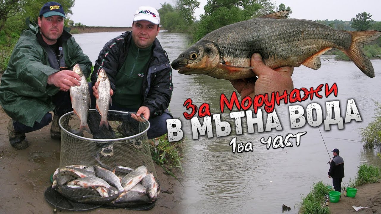 За Морунажи в МЪТНА ВОДА - Как да ги надхитрим показва Вальо Колев - I част