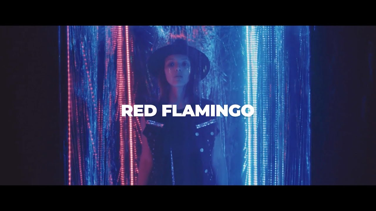 DJ Christopher x Budai - Red Flamingo (Official Music Video)