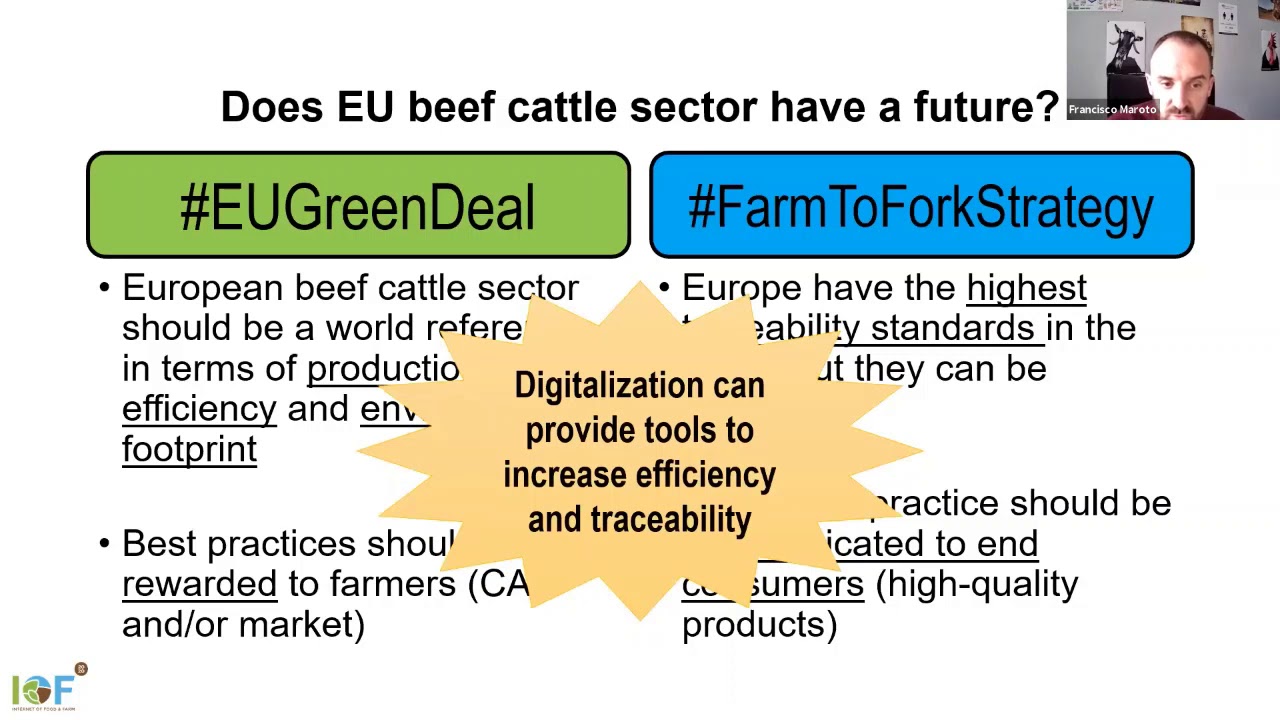 IoF2020 Webinar: Decision-making Optimisation in Beef Supply Chain