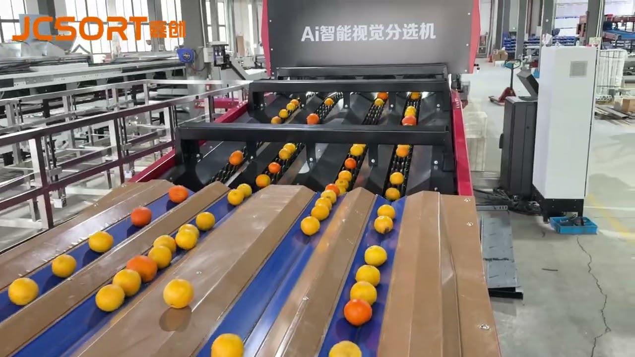 Citrus Optical Sorting Line, citrus grading machine, 4 lane optical sorter, citrus color sorter