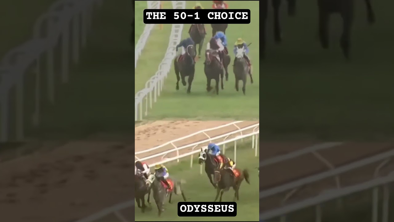 How This Underdog Horse Won an 