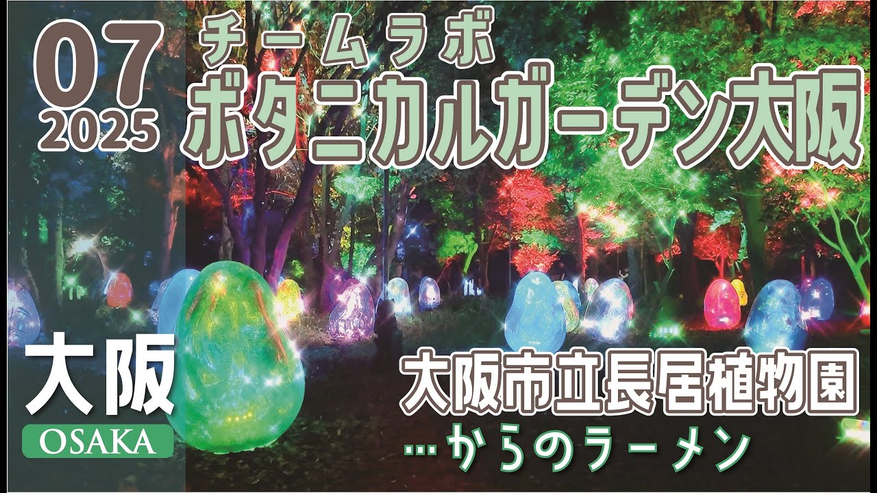 【大阪】チームラボの「ボタニカルガーデン大阪」を見に行ってキラキラたまごを転がしまくったら、非日常感満載でリフレッシュ！それからラーメンを食べに行ったら肉がめちゃくちゃ美味しかった大阪でのとある休日