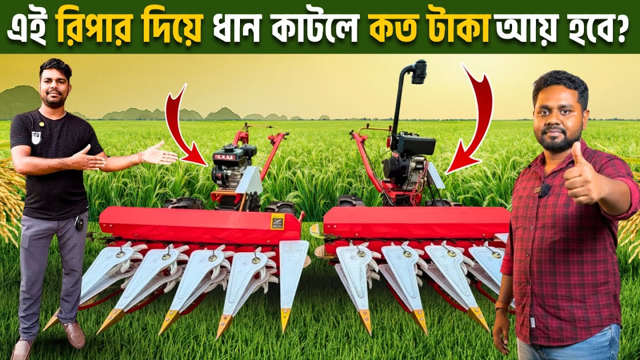 এই রিপারে ধান কাটলে কত টাকা আয় হবে ? Paddy Reaper | ধান কাটা মেশিন | Paddy  Harvester | mini reaper