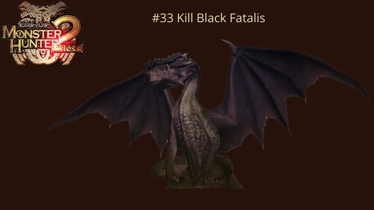 Monster Hunter 2 #33 Black Fatalis