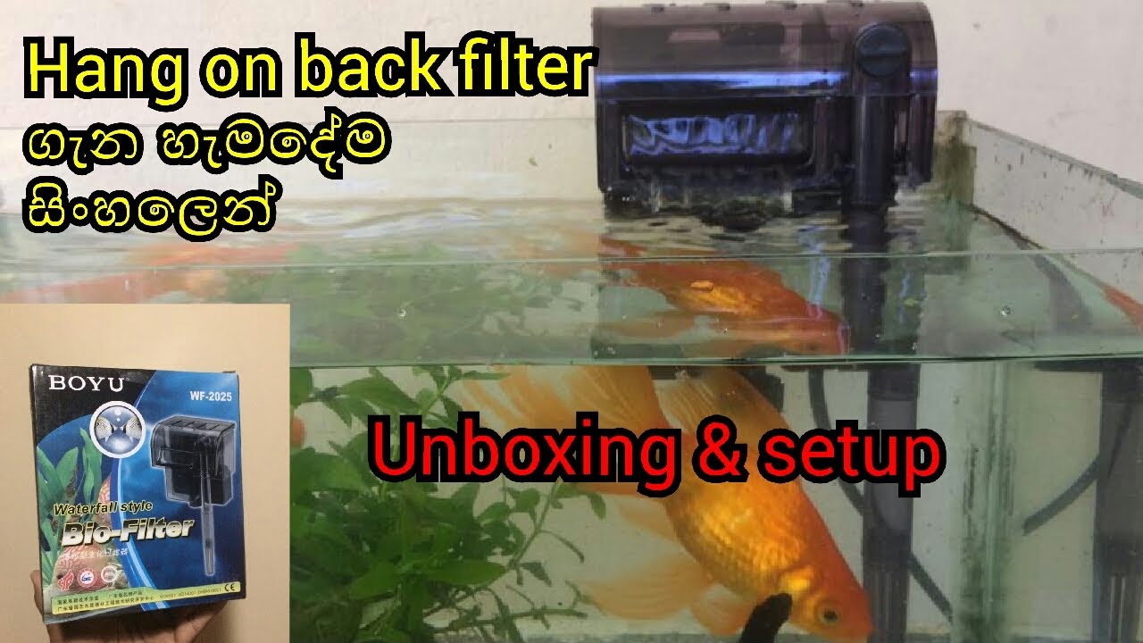 All about hang on back filter in sinhala /  D.H FISH ADVISOR