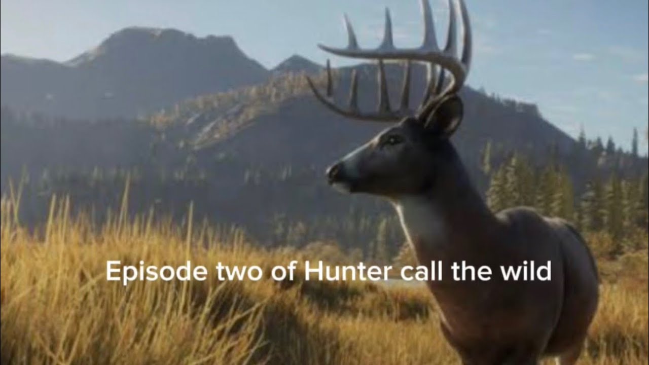 Second episode. Of Hunter Call of the Wild.