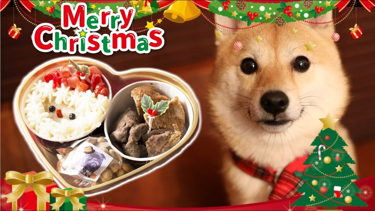 犬用の豪華クリスマスディナーでメリークリスマス！！！