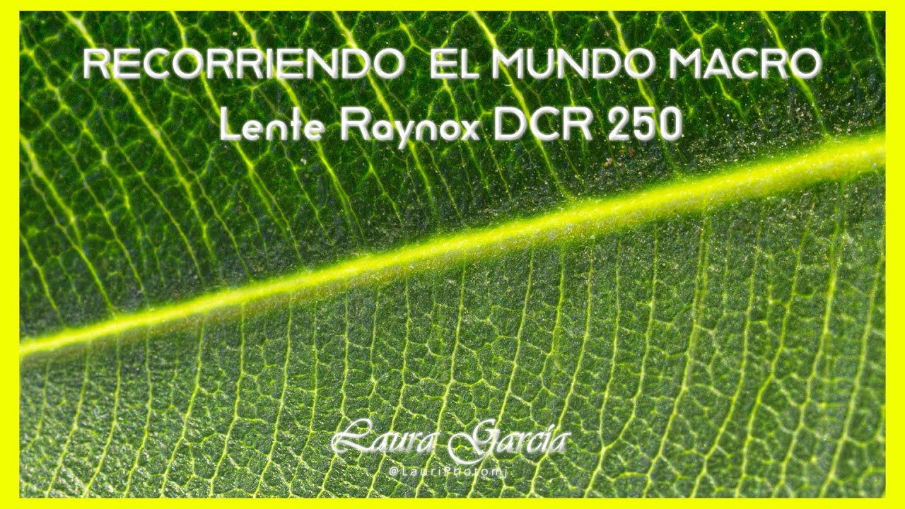 👀 Recomiendo la Lente Raynox DCR 250