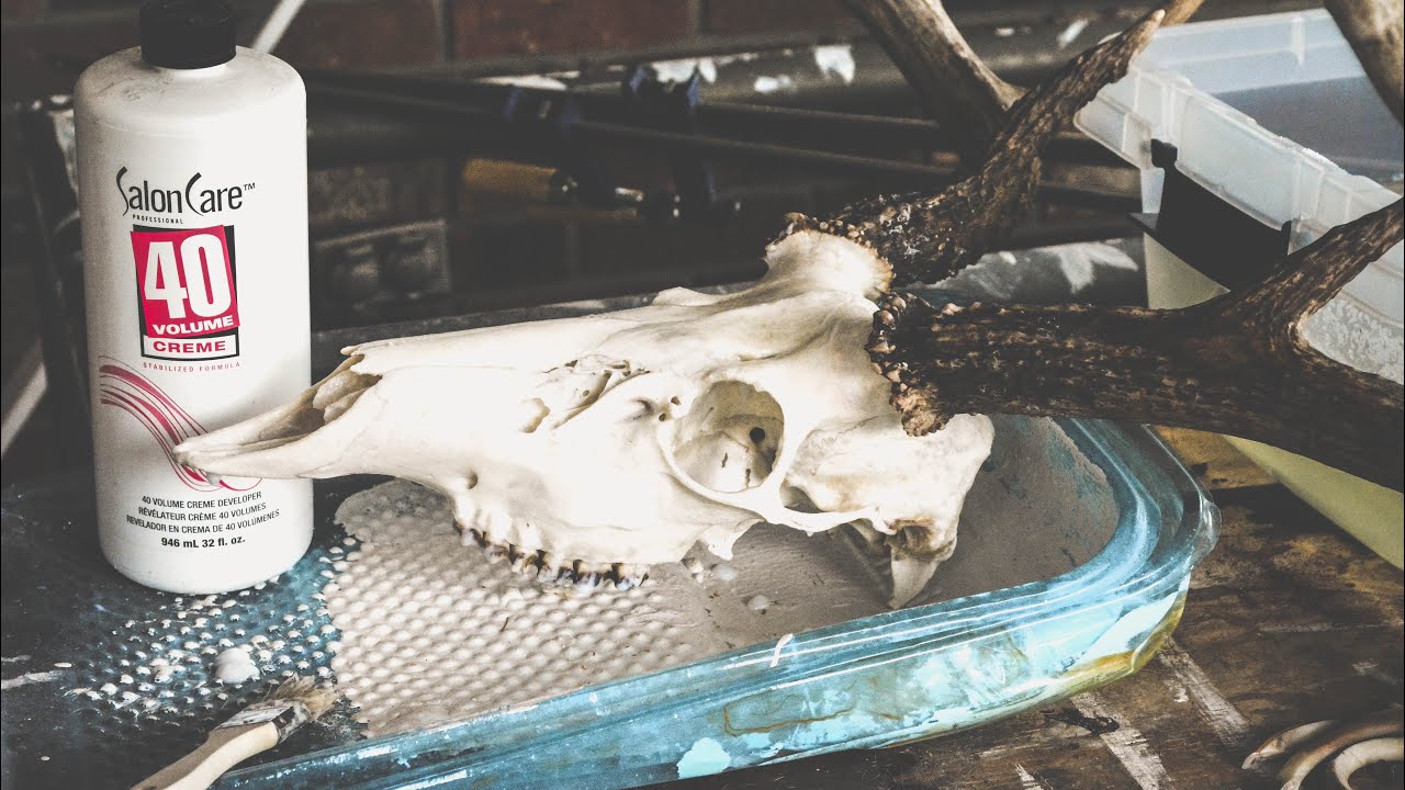 DIY European Mount Part 3/whitening process