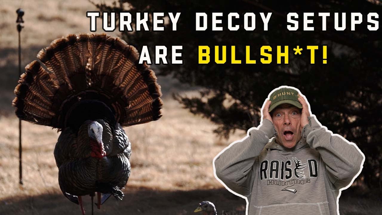 Turkey Decoy Setups are Bull Sh*t! |  What are the Best Turkey Decoys?