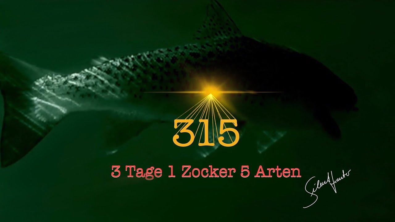„315“ - Silent Hunter
