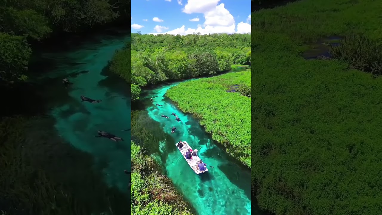 Bonito River | Blue River in Brazil 🇧🇷            #shorts #youtubeshorts #ytshorts #bonito #river
