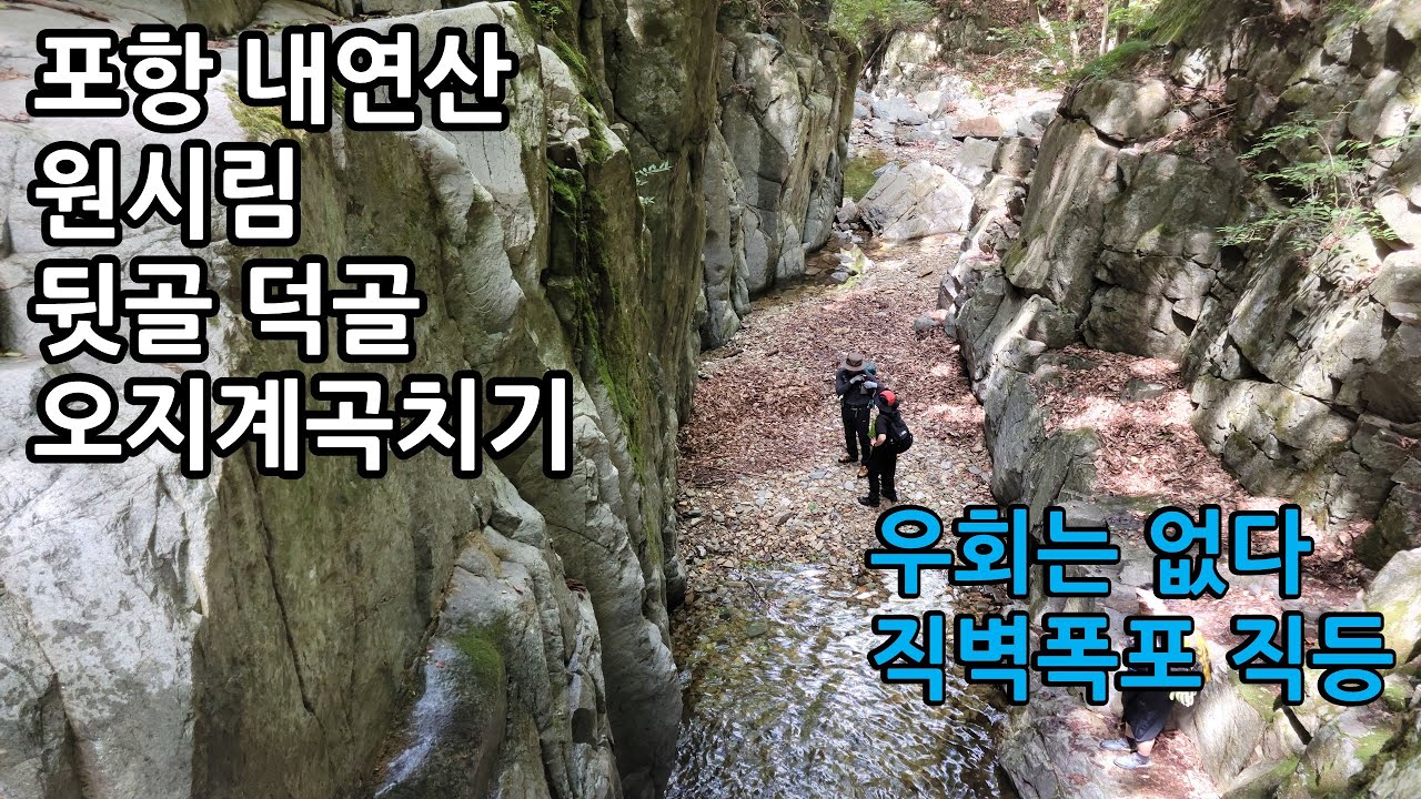 영혼까지 탈탈 털린 내연산 원시림 오지계곡 뒷골 덕골 트레킹ㅣ포항 하옥계곡ㅣ우회없는 직벽폭포 직등ㅣ8.5km  8시간30분