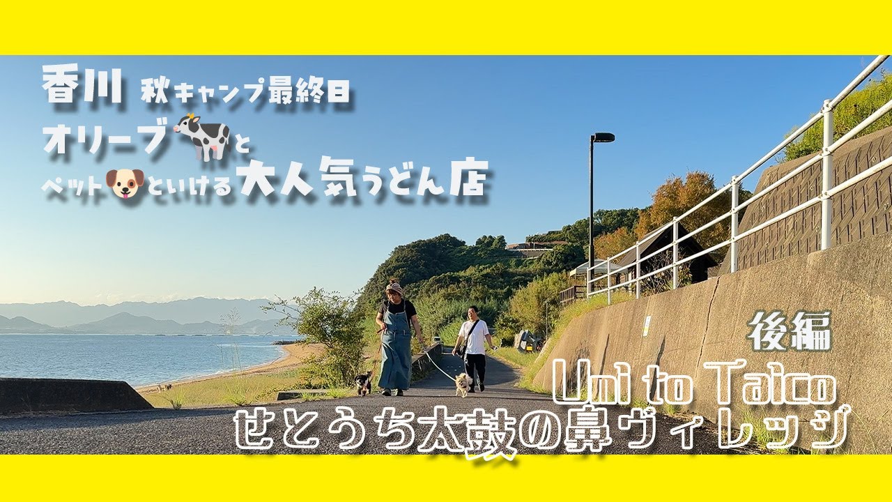 【Umi to Taico せとうち太鼓の鼻ヴィレッジ】後編 おいしいものをたくさん食べてきれいな景色を見ましたやで！【四国 香川 犬 キャンプ】【チワワ ちわプー】【2024/10/12】