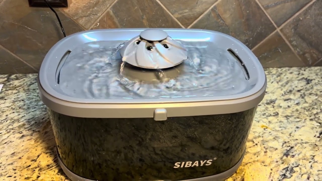 Dog loves this water fountain, never have to fill again!