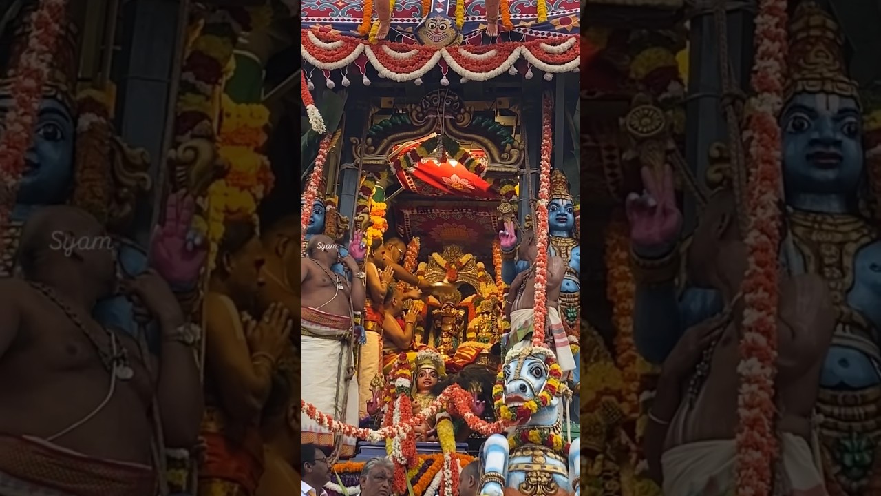 Tirumala bramhostavaalu #love  #devotionalhits #god #festival #hindupilgrimage #devotional