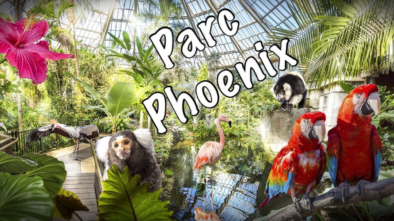 Le Parc Phoenix - Parc Animalier - Nice - Provence Alpes Côte D’Azur