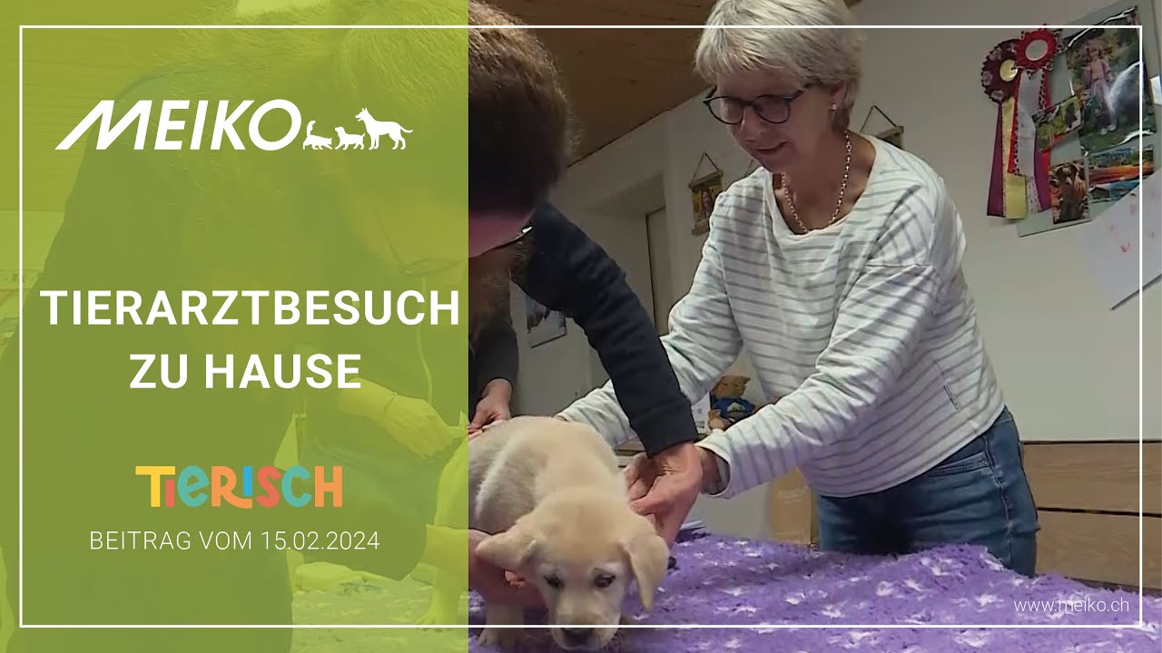 Tierarztbesuch zu Hause – tierisch Beitrag vom 15.02.2024