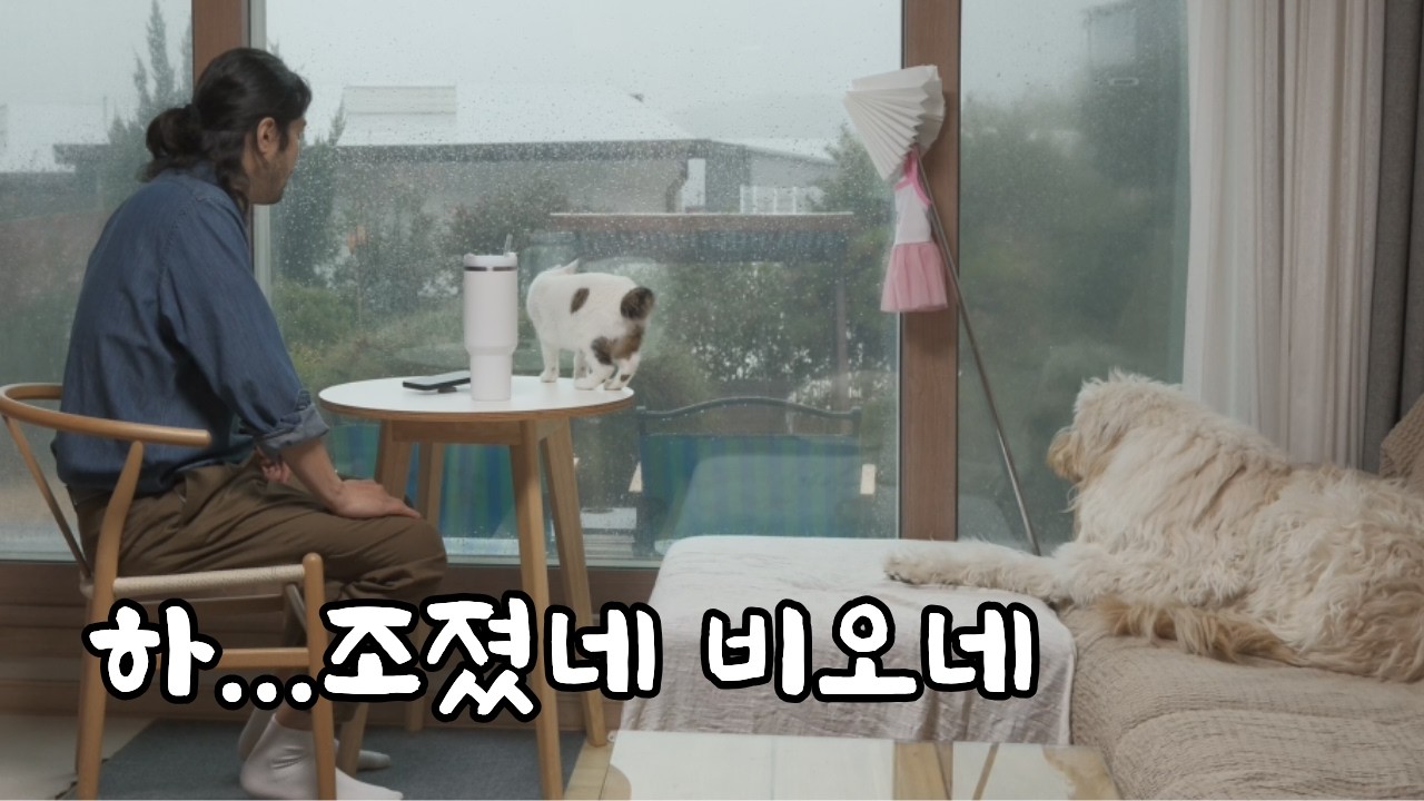 이제 반려생활 하드모드 시작인가