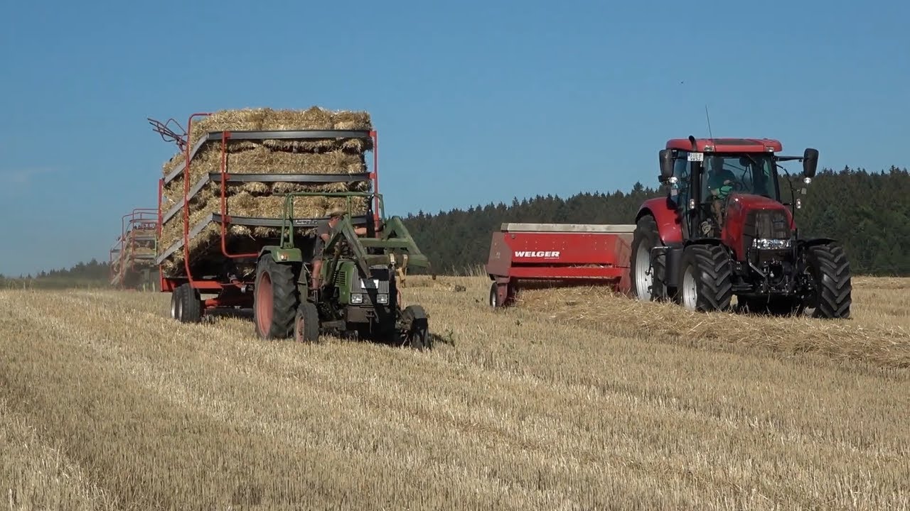 Kleinballen pressen - Welger AP830 - Kemper Ballenautomat