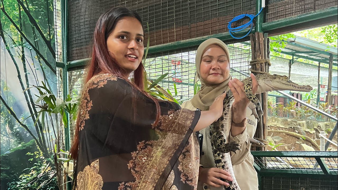 ||| Day 4 Langkawi Crocodile’s 🐊 Park Lo Em Ayindho Chudandi 😧 ||