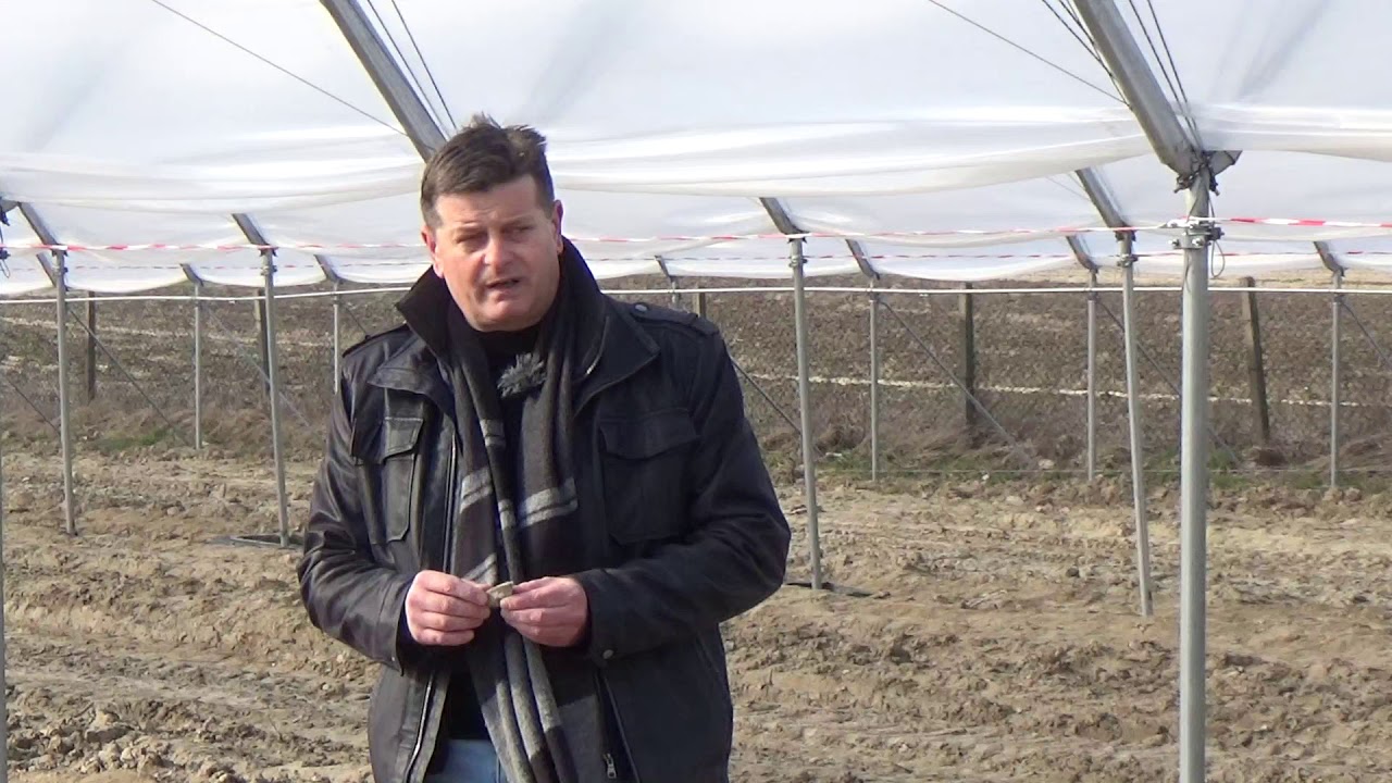 Przygotowanie stanowiska, do sadzenia malin, jeżyny i truskawek w projekcie Berry Tech 2020.